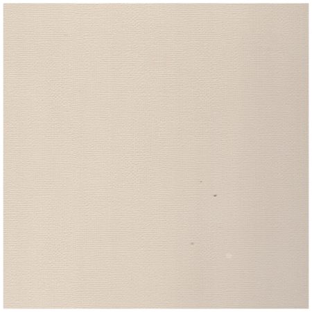 Silhouette cartoncino tramato adesivo per scrapbooking cardstock-wmgry